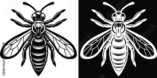Detailed Black and White Outline Wasp Insect Animal Illustration