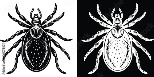 Black and White Detailed Tick Parasite Dangerous Insect Illustration