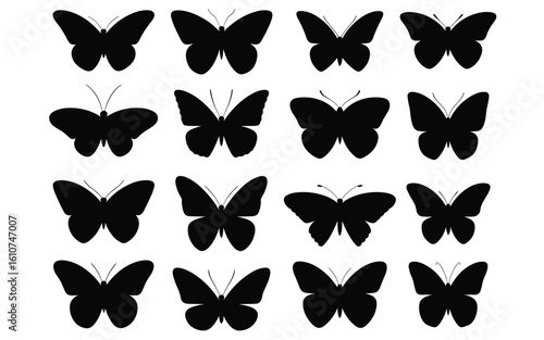 Butterfly Silhouette Bundle – Diverse Wing Shapes for Nature, Decorative & Educational Artwork