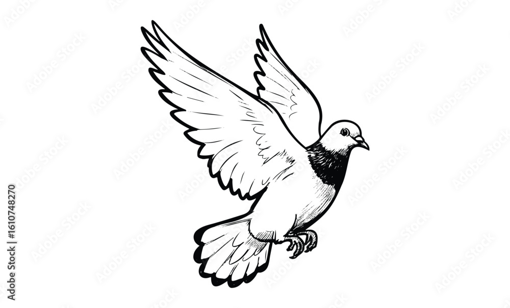 Fototapeta premium Illustration of a flying pigeon with outstretched wings. Vector retro hand drawn illustration