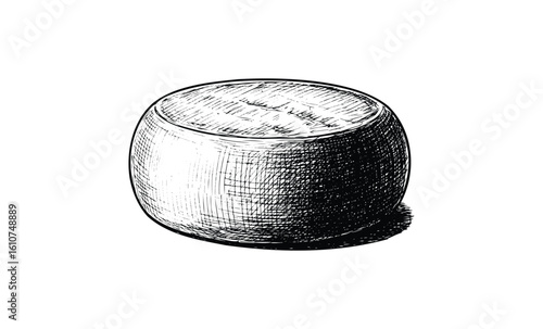 Hand-drawn sketch of a round cheese wheel with detailed textures. Vector retro hand drawn illustration