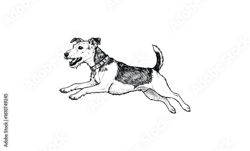 Black and white sketch of a playful jumping dog with collar. Vector retro hand drawn illustration