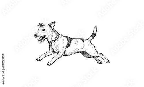 Lively black and white terrier leaping happily in detailed sketch. Vector retro hand drawn illustration