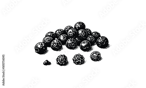 Black peppercorns vintage illustration of whole spice pod cluster. Vector retro hand drawn illustration