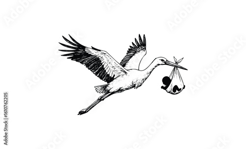 Illustration of stork delivering newborn baby in black and white ink style. Vector retro hand drawn illustration