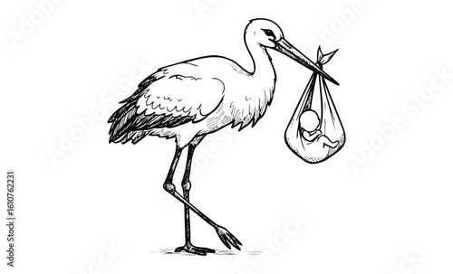 Stork delivering baby in bundle sketch. Vector retro hand drawn illustration