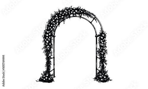 Elegant floral arch with leafy vine decorations. Vector retro hand drawn illustration