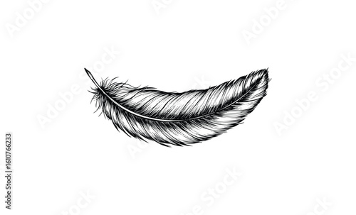 Detailed monochrome feather illustration. Vector retro hand drawn illustration