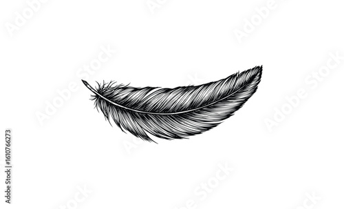 Intricate black feather drawing with detail and elegance. Vector retro hand drawn illustration