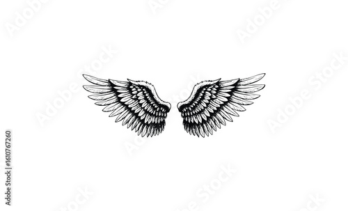 Detailed black and white sketch of angel wings with intricate feather patterns. Vector retro hand drawn illustration