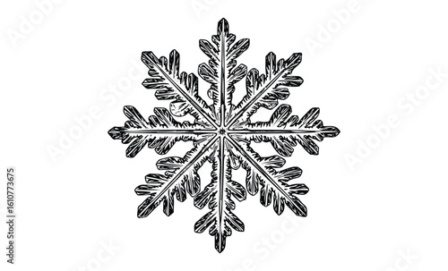 Intricate black and white snowflake illustration with detailed symmetrical design. Vector retro hand drawn illustration