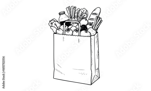 Illustration of grocery bag filled with fresh produce and bread. Vector retro hand drawn illustration