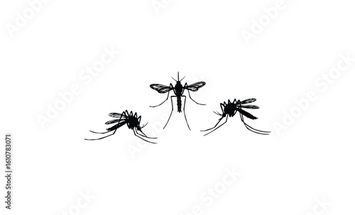 Three black mosquito silhouettes. Vector retro hand drawn illustration
