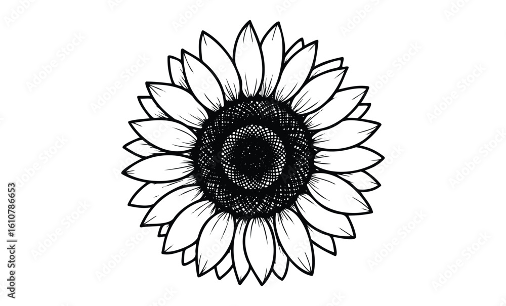 Fototapeta premium Intricate line drawing of a sunflower. Vector retro hand drawn illustration