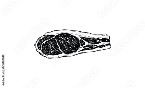 Hand-drawn ribeye steak illustration. Vector retro hand drawn illustration