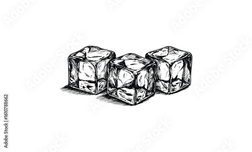 Sketch of three ice cubes with intricate line patterns. Vector retro hand drawn illustration
