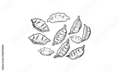 Hand-drawn dumplings illustration: artful asian cuisine design. Vector retro hand drawn illustration