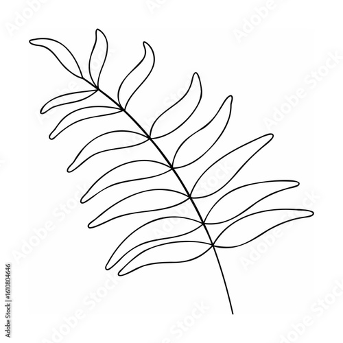 Delicate fern frond outline leaf plant