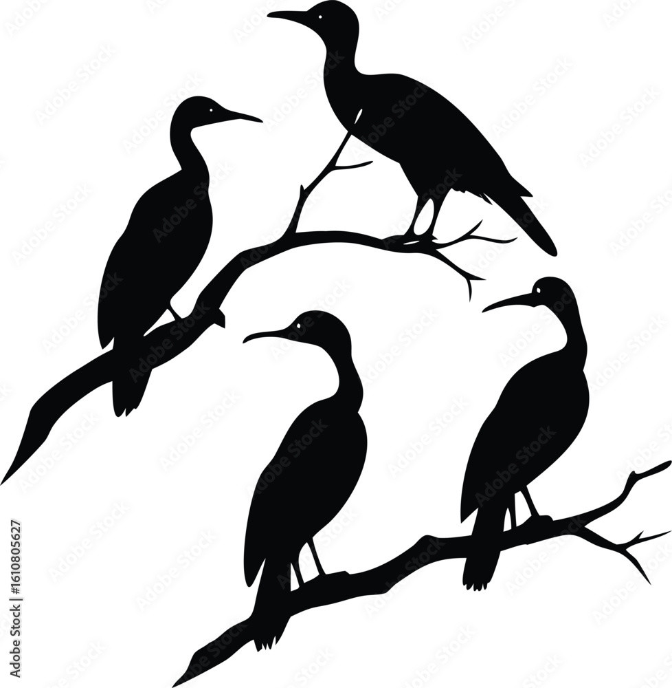 Obraz premium Silhouette of Four Cormorant Birds Perched on Bare Branches Against a White Background