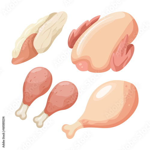 Collection of raw chicken parts and whole bird