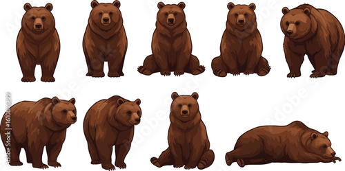 Brown bear illustrations, various poses, sitting standing walking lying, wildlife animals, forest mammals, cartoon style, nature, fauna collection