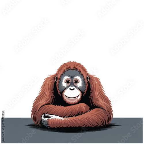 Orangutan Illustration with Crossed Arms Sitting Down Depicting Primate Wildlife Awareness and Conservation Efforts with Simian Portrait.Resizeable And Editable