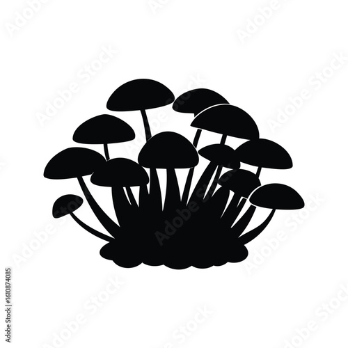 Silhouette of a Clump of Wild Mushrooms Growing in a Cluster