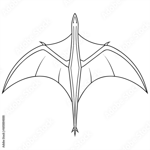 Minimal Pteranodon wingspread clean lines.