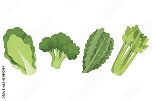 Assortment of fresh green vegetables on a white background