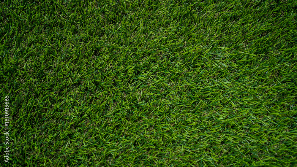 Fototapeta premium Green grass top view background of garden bright grass concept used for making green backdrop.