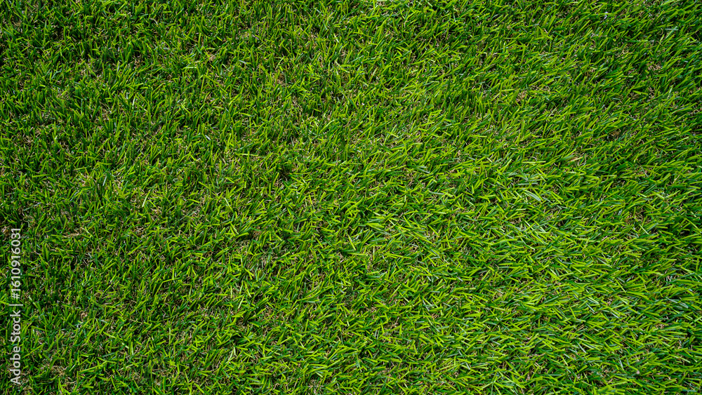 Fototapeta premium Green grass top view background of garden bright grass concept used for making green backdrop.