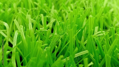 Artificial grass footage showing forward movement with realistic textures and the high-quality of green color