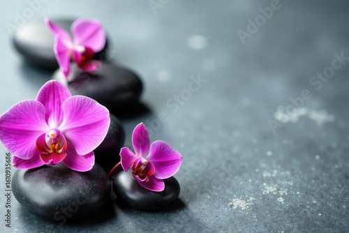 Smooth spa stones & vibrant orchids on grey textured backdrop, luxury, textured