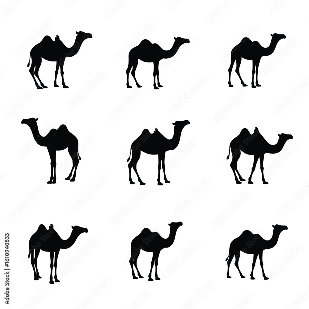 Naklejka premium A Collection Of Wolf Silhouettes Are Presented In Various Poses Against White Background