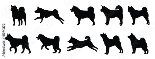  shiba inu dog silhouette illustration set