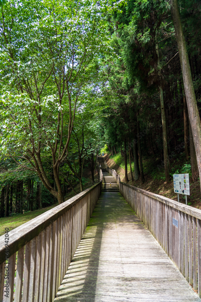 Obraz premium 夏の県立ぐんま天文台 駐車場から続く木道 群馬県高山村