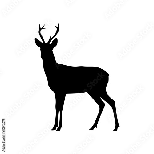 Roe deer silhouette vector flat illustration on white background.