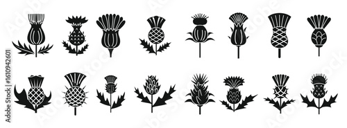  thistle icons set simple vector scottish flower