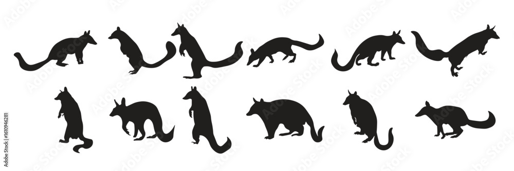 Naklejka premium the numbat silhouette vector illustration set