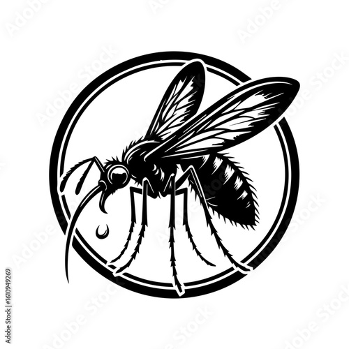A detailed illustration of a mosquito inside a circle