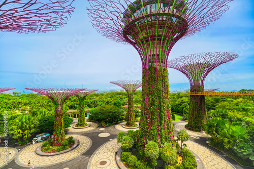 View of the several tree-like vertical gardens in the Gardens by the Bay in Singapore.