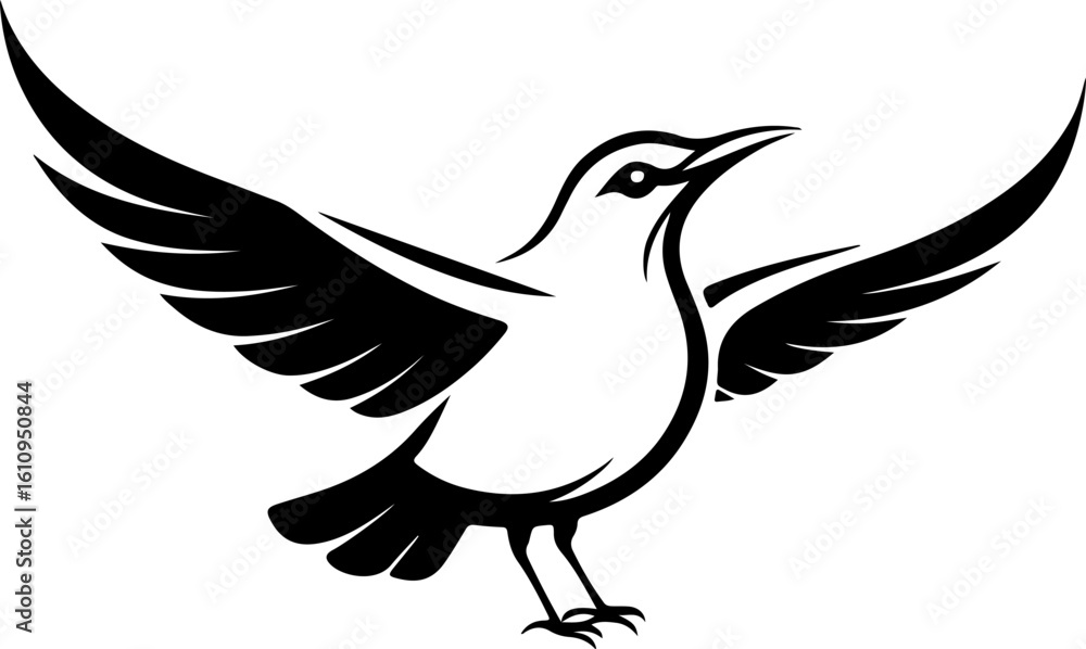 Fototapeta premium dove isolated on white