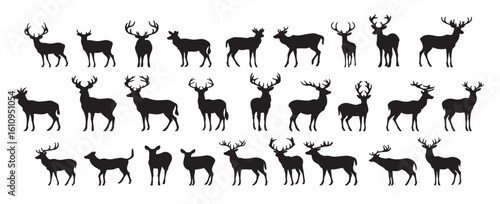 Set of silhouettes of reindeer. male and female deer isolated on a white background.