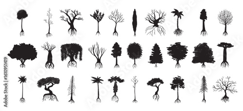 Set of Silhouettes of Trees
