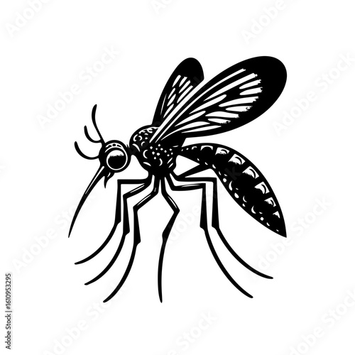 A detailed illustration of a mosquito in black and white