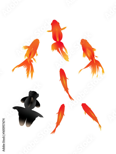 水彩風の金魚のイラスト