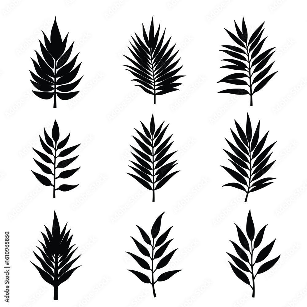 Obraz premium A Collection Of Nine Stark Black Silhouettes Of Coconut Palm Leaves Against A White Background