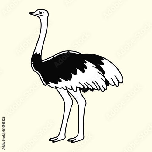 Ostrich vector cartoon illustration depicting a big, long-necked, flightless bird in its wild safari nature