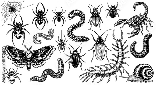 Insects Vector Set Doodle Style Black and White.