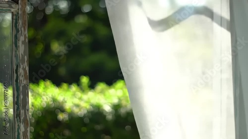 Sheer curtain blows, revealing sunlit garden, rustic window